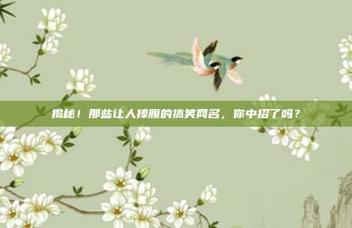 揭秘！那些让人捧腹的搞笑网名，你中招了吗？