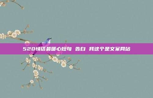520情话最暖心短句 告白 我这个是文案网站