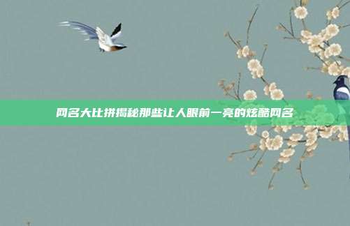 网名大比拼揭秘那些让人眼前一亮的炫酷网名