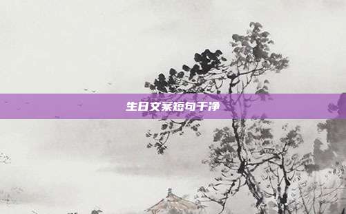 生日文案短句干净