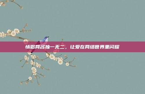 情侣网名独一无二,让爱在网络世界里闪耀