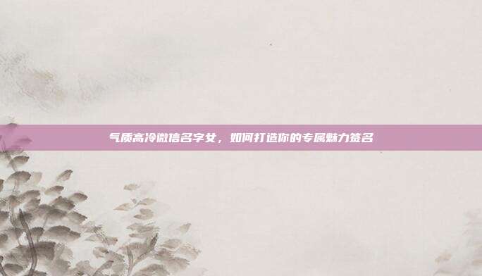 气质高冷微信名字女,如何打造你的专属魅力签名