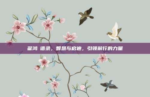 翟鸿燊语录,智慧与启迪,引领前行的力量
