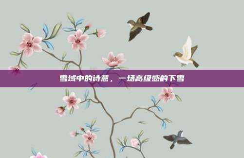 雪域中的诗意,一场高级感的下雪