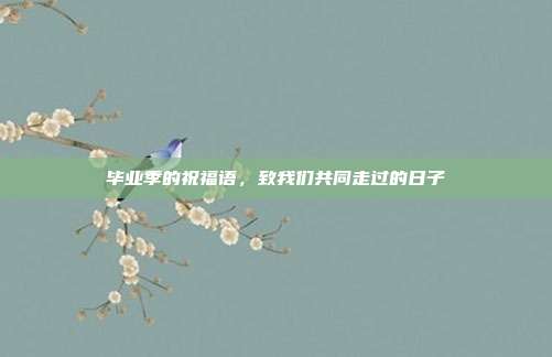 毕业季的祝福语，致我们共同走过的日子