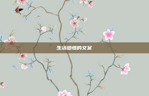 生活感悟的文案