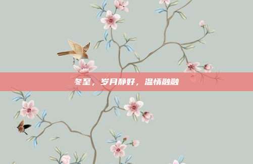 冬至，岁月静好，温情融融