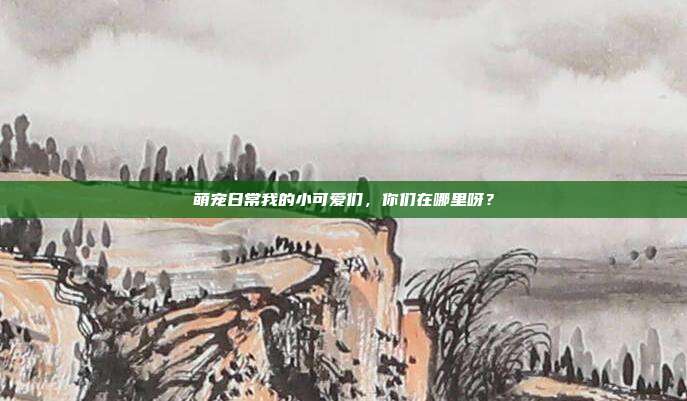 萌宠日常我的小可爱们,你们在哪里呀?