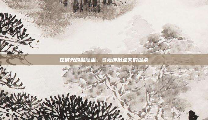 在时光的缝隙里,寻觅那份遗失的温柔