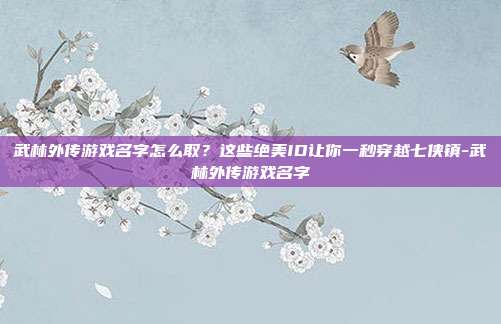 武林外传游戏名字怎么取？这些绝美ID让你一秒穿越七侠镇-武林外传游戏名字