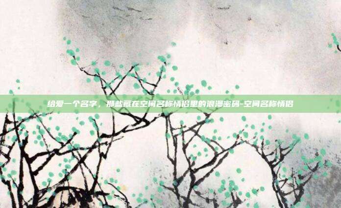 给爱一个名字,那些藏在空间名称情侣里的浪漫密码-空间名称情侣