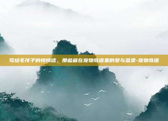 写给毛孩子的悄悄话，那些藏在宠物寄语里的爱与温柔-宠物寄语